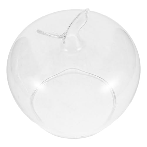 Amosfun Cúpula de Cristal Transparente