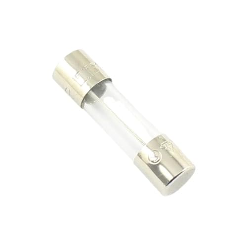 Fusible en verre 5x20mm 250mA T temporisé 250V lot de 5 pièces de rechange