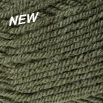 Plymouth Encore Worsted 9863 Pesto