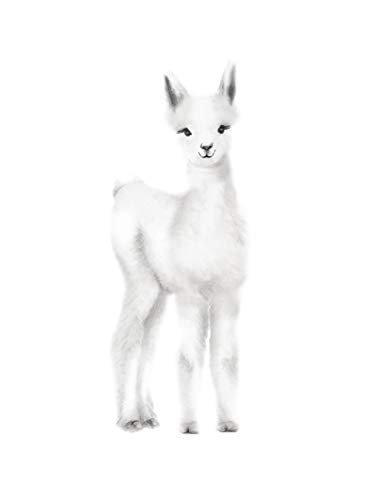 Amazon Com Llama Nursery Print Baby Animal Print Pencil Drawing Various Sizes Available Unframed Print Handmade Products