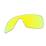 Lenti polarizzate HD con protezione UVAB al 100% per Flynn.