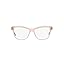 Shiny Transparent Pink/Demo Lens