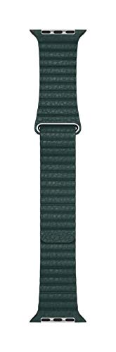 Apple Watch Loop in pelle verde foresta (44 mm)