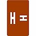 Smead AlphaZ ACCS Color-Coded Alphabetic Label H, Brown, 100 Labels per Pack (67178)