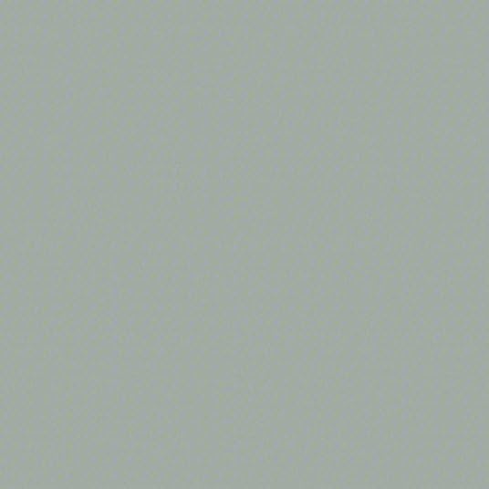 9882419 ROCThane® 9800 System DTM Urethane Mastic – Silver Gray, Gloss, 1 Gallon | High-Performance Direct-to-Metal Urethane Coating, Corrosion-Resistant, High Build & UV-Stable Finish