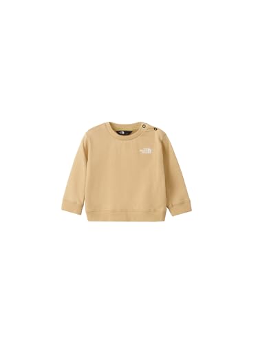 THE NORTH FACE(Um[XtFCX) g[i[ XEFbg B Sweat Logo Crew J[LXg[ 70