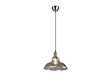 La suspension LED design s'adapte avec l'abat-jour en verre fumé de 28 cm de diamètre et la suspension de 150 cm de long s'adapte à de nombreux styles d'intérieur