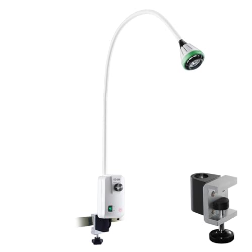 Lampe chirurgicale à LED pour examen médical dentaire et gynécologie en consultation