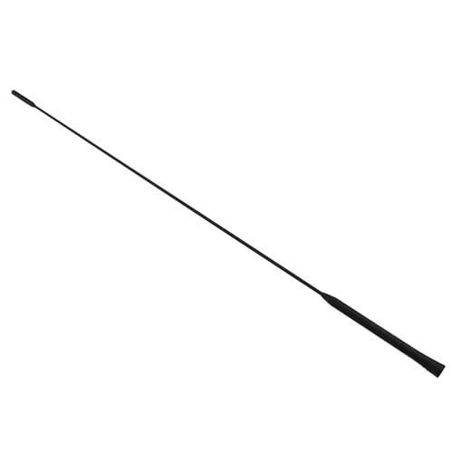 Antenne radio voiture 12V 75 ohms compatible Ford Focus C-Max