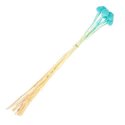 Alipis 10 piezas flores secas Craspedia para decoración
