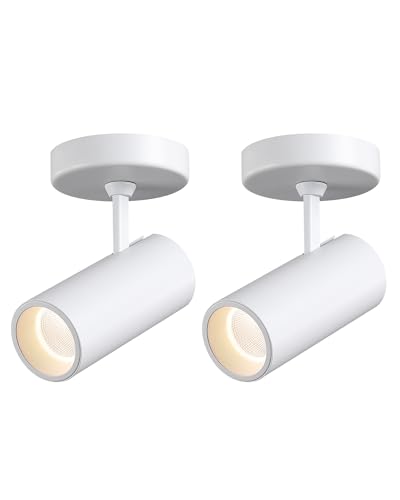 Image of 12W LED Dimmable Ceiling Spotlight Indoor - Adjustable Surface Accent Lamp for Corridor, Living Room, Warm White 3000K, CRI 97 Anti-Glare Picture Artwork Spot Light, White Finish, 2 Packs