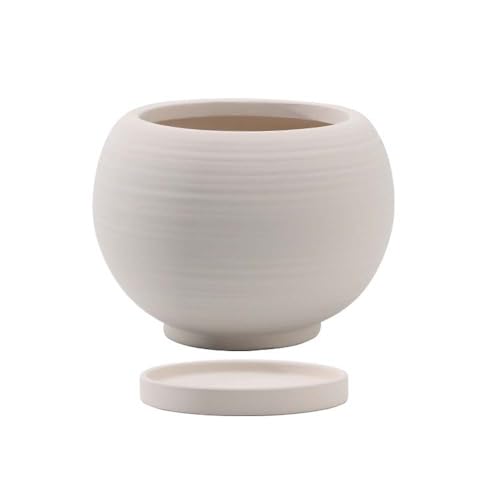 IWEJ fĂAؔ L TCY  󂯎Mt rt ʋC k O ϗtA//n[up v^[ (Small,E)