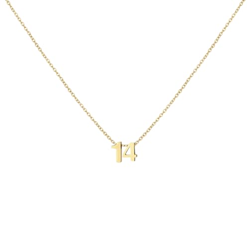 LOXUAKAM Number 14 Necklace for Women Charm Pendant Necklaces Dainty Birth Month Stainless Steel Necklace Personalized Jewelry Birthday Gift for Her