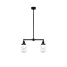 Innovations 209-BK-G312-LED Dover 2 Light Chandelier Part of The Franklin Restoration Collection, Matte Black
