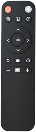Telecomando per T421, Toperson, accessori per