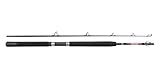 PENN Warfare Boat Rod | Hochbelastbare 2-teilige Salzwasser-Angelrute aus Carbon-Verbundwerkstoff | Hochdichter Eva-Griff und SW-Proof-Bootsführungen | Hochsee-, Tiefsee- und Wrackangeln | 1,80 m