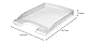 Leitz Briefkorb Flach A4, 10er Pack, Briefablage in Premium-Qualität, Stapelbares Ablagefach als Schreibtisch-Organizer, Kombinierbar mit Plus-Serie, Transparent, 52370003