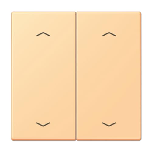 Touche F10 2 phases pour volets roulants LC4320P JUNG LC102P258