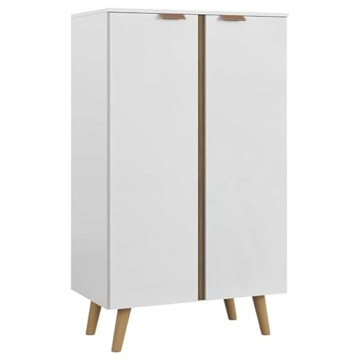 Armario Organizador Sapateira Tenis Sapatos 2 Portas Multiuso 3 Prateleiras - Cores (Branco)