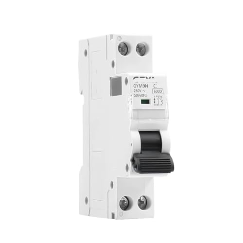 Disjoncteur DPN 1P+N 10A Courbe B 6KA pour tableau électrique monophasé 220V
