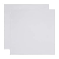 BENECREAT 2PCS Weiße Silikonkautschukplatte 300x300x2mm Hochtemperaturbeständige Dichtungsplatte, zur Herstellung von Dichtungen und Dichtungen