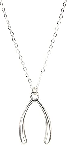 Image of bluebubble GOOD LUCK Silver Wishbone Charm Necklace on Gift Card (18" Silver Plated Chain Necklace)