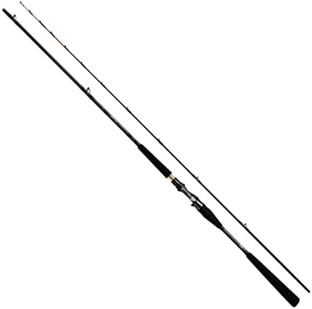 Amazon | ダイワ(DAIWA) 船竿 極鋭コンセプトゲーム AGS L HH-175AGS 