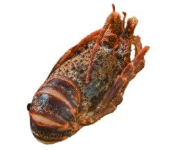 ys꒼szGr@ɐCV@AJق@1@180-200gʁyⓀz394655