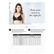 Image of Amante Lace Padded Non-Wired Full Coverage T-Shirt Bra