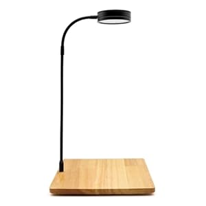 5W Aquarium Light with Oak Base,LED Fish Tank Lights with Timer Cycle Adjustable Brightness Fit Nano Aquariums & Fish Bowls,USB Powered