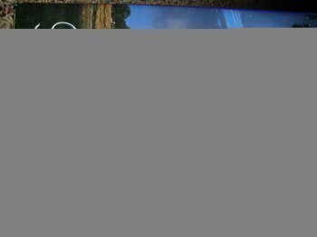 Rogue's Honor 0739418645 Book Cover