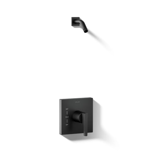 KOHLER Honesty Rite-Temp Shower Valve Trim With Lever Handle, Less Showerhead miniatura 1
