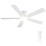 Passky Ventilador de techo de 132 cm con iluminación y mando a distancia, motor DC silencioso, 6 velocidades, luz LED regulable, 3 temperaturas de color blanco