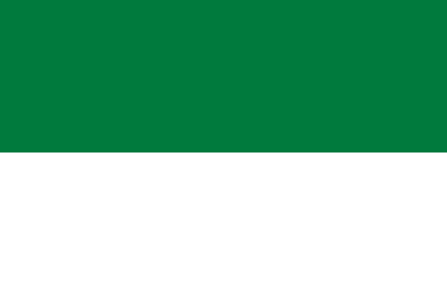 Drapeau de la province du Chapare de Bolivie aux finitions soignées