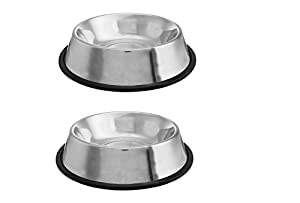 FUREVER FRIENDS pet Bowl Stainless Steel Dog Food Bowl and cat Bowl for Young Adult Dogs 900 ml Large pots Size (Silver Dog Plates) (Set of 2) (900ml)