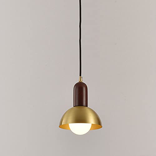 Lámpara de techo de hierro dorado luminaria suspendida cúpula E27