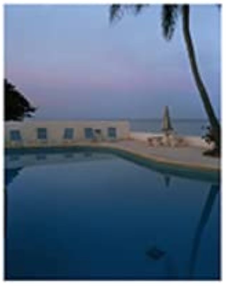 Joel Meyerowitz Between the Dog and the… BetweentheDogandthWolf2nd_Cove