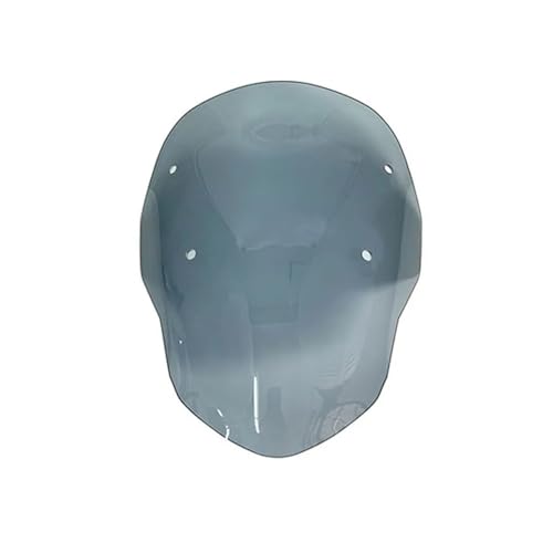 Pare-Brise Moto pour R1300GS 2023-2024 Déflecteur de Vent Carénage