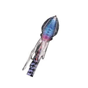 Lumica C00255 Puniraba 1.4 oz (40 g) UV Galaxy