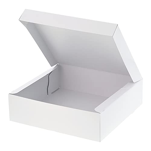 yP[X̔zP[L PC-J[65 6 zCg 004260105 1P[X(10×10 v100)