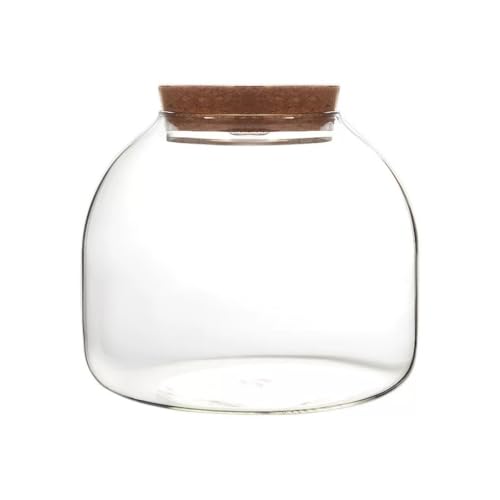 Bruitekマイクロランドスケープエコロジカルガラスボトル 色付きライト付き 苔テラリウム花瓶 水耕栽培 小型水槽 卓上装飾 コルクガラスボトル ミニチュア風景 室内グリーン インテリアギフト (透明)