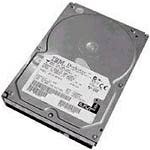  IBM 500GB 7200 RPM 3.0 GB/Sec Hot-Swap SATA Hard Drive - Disco Duro (SATA, 500 GB, 8,89 cm (3.5\