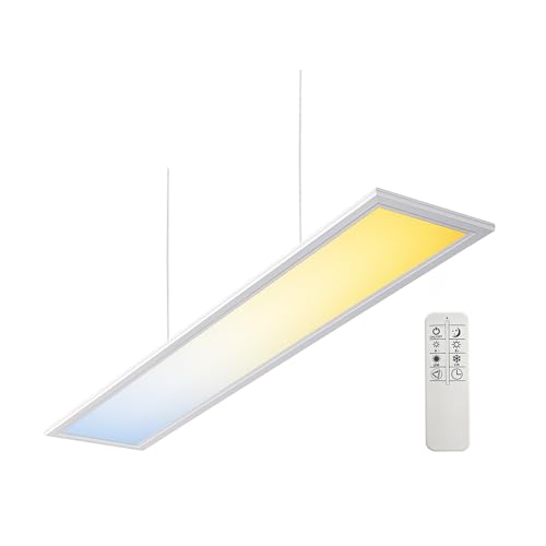 ELG Leuchten LED Pendelleuchte 120cm direkt/indirekt Dimmbar CCT 3000-6000K mit FB Mikroprismatische Abdeckung 32 Watt 2880 lm CRI>90 IP20 Pendelleuchte Höhenverstellbar Hängelampe Hängeleuchte