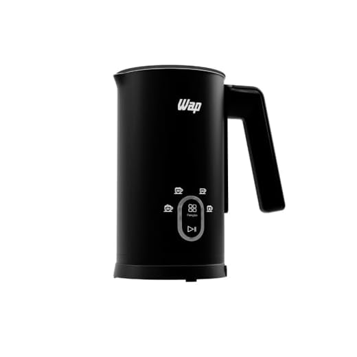 WAP WE300 300mL