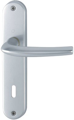 Poignée sur plaque argent - Clé L - 186 mm - San Diego - Hoppe et cie