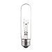 INCAND T10 BULB 25W CLR