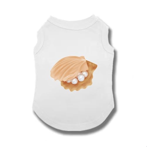 [XANPYO]  ybg L  S  킢 hbOEFA xXg Eѕی ƒ ^ t   Vc ĕ  Lk _炩 Eѕی h p  lGʗp y EȒP o|