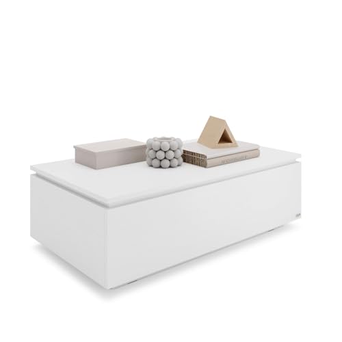 MOBILI FIVER, Table Basse avec Coffre, X, Frêne Blanc, NO, Table Basse de Salon, Made in Italy