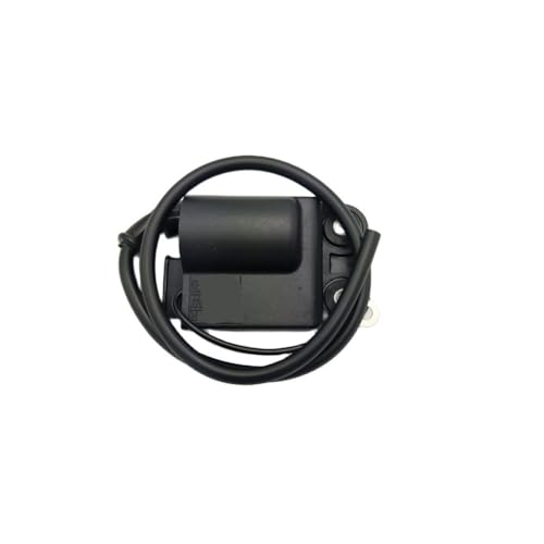 Bobina de encendido para ciclomotores R50, 50sp y motores de 50cc