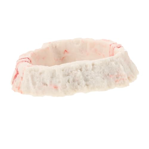 Mikikit Reptile Food and Water Bowl Durable Resin Lizard Feeder Dish for Bearded Dragons Tortoises and Amphibians Easy to Clean Terrarium Decor Feeding